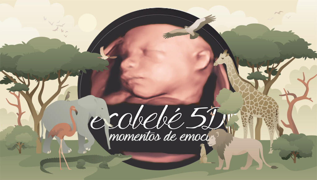 ecobebé 5D más ecológico